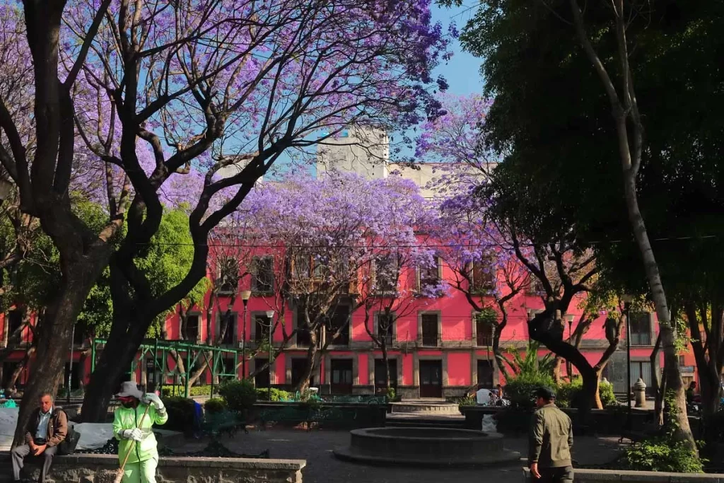 Plaza Santa Catarina - Centro Histórico - Ciudad de México CDMX - Foto por © Kiko Kairuz 2024